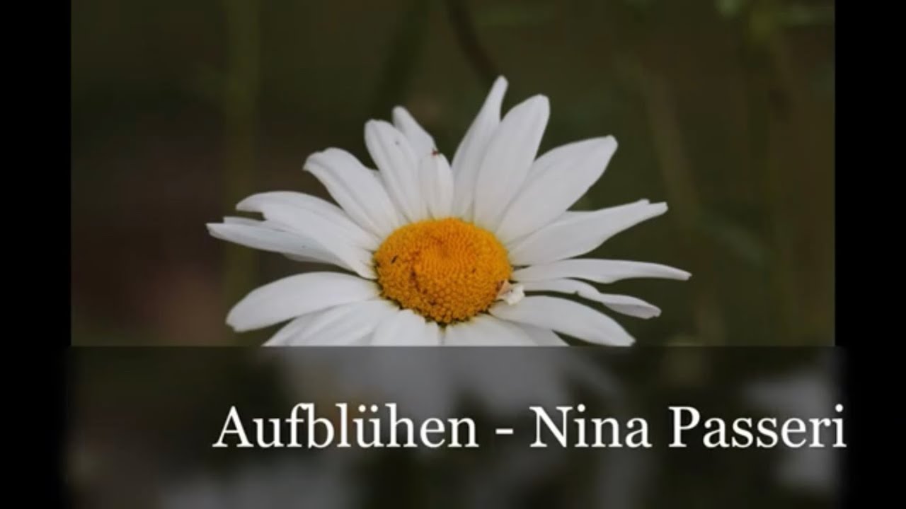 Nina Passeri - Aufbl&uuml;hen (feat. Taube, Girlitz und Co.)