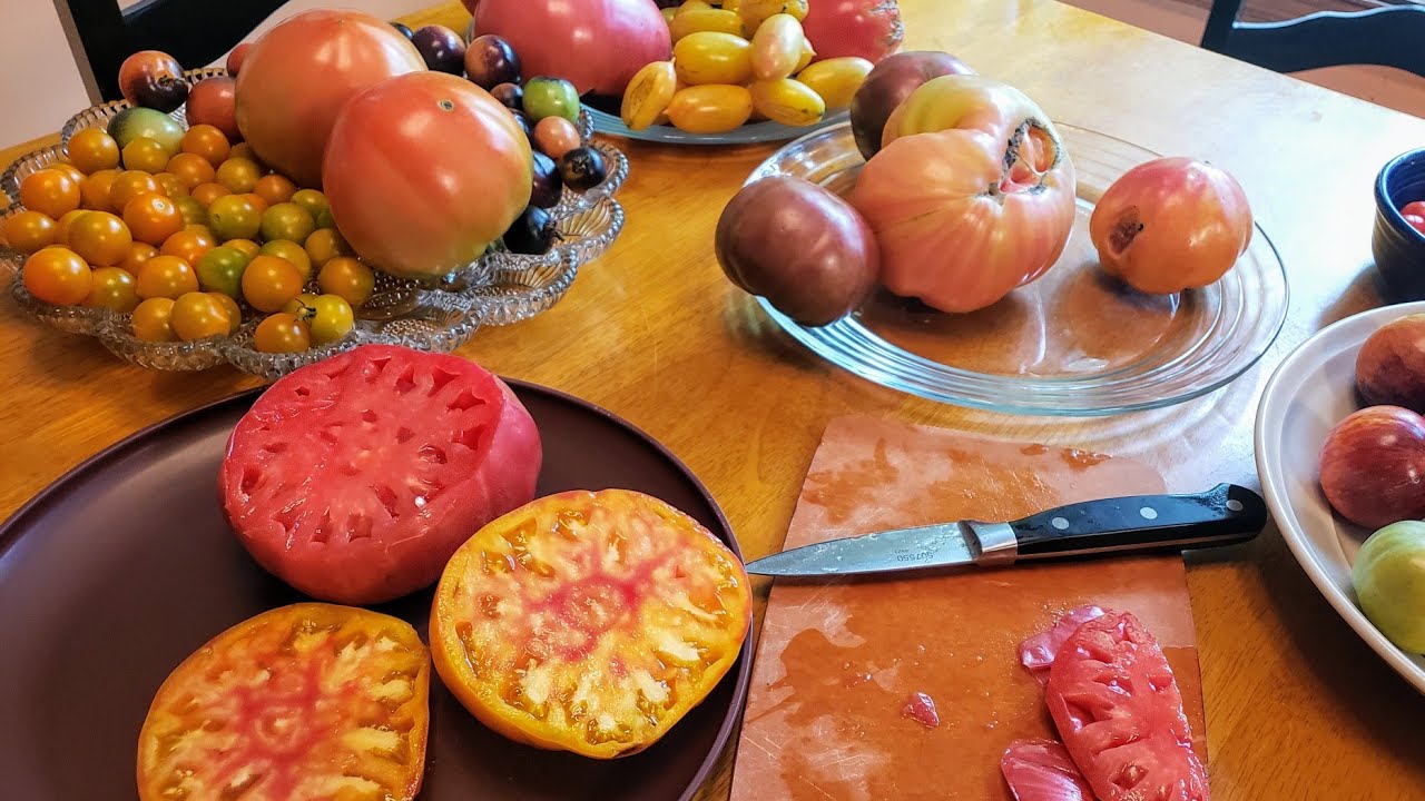 Two Beefsteak Tomato Varieties Tasted: Granny Cantrell's & Pineapple