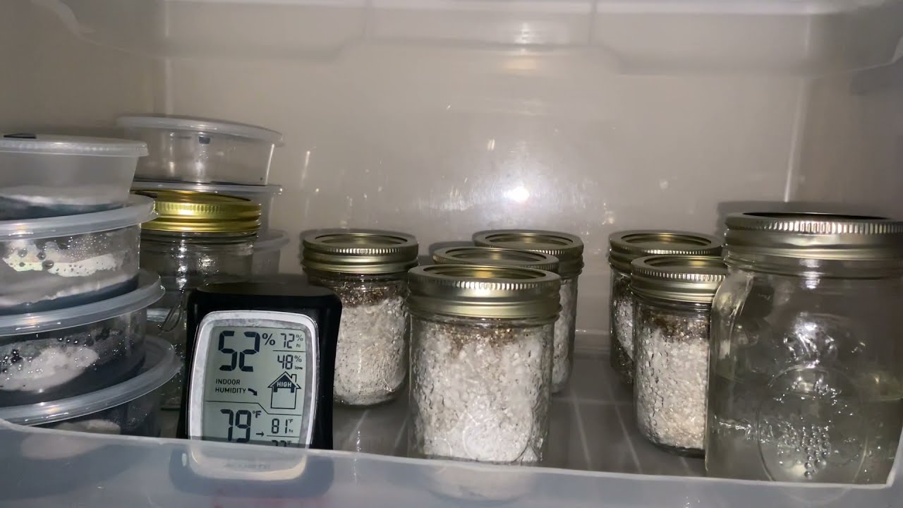 Pf tek grow