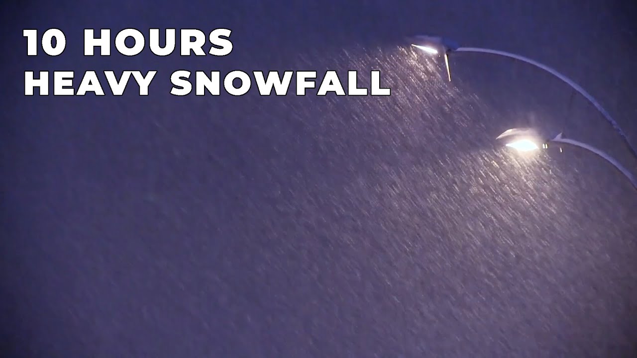 Heavy Snowfall during night | Calming Wind Sounds | Winter Ambience