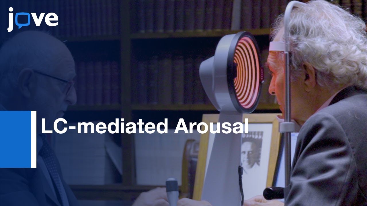 LC-mediated Arousal Elicited by Trigeminal Stimulation Assessment | Protocol Preview