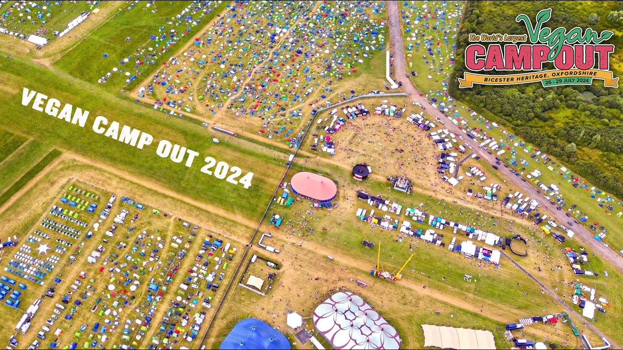 Vegan Camp Out 2024 - Official Highlights Video