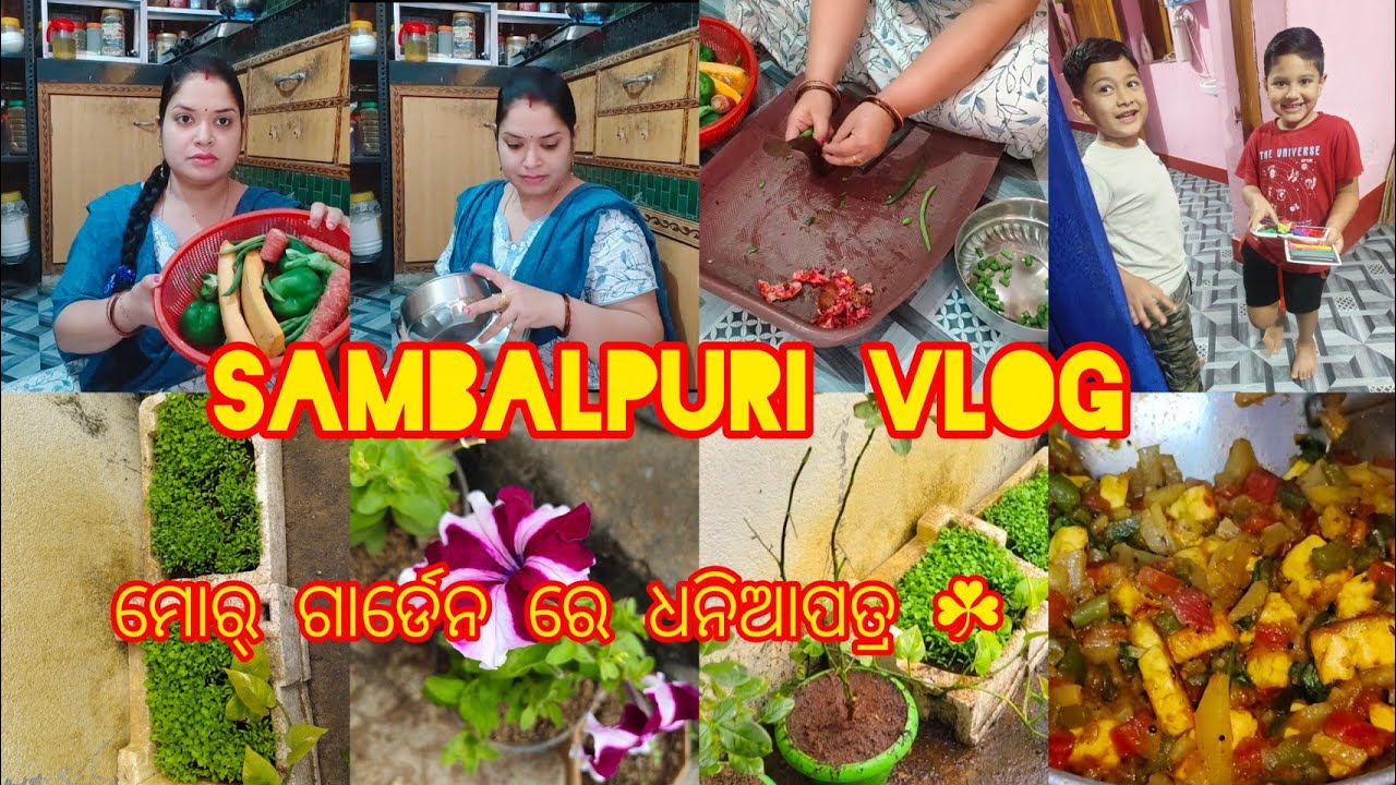  ଘର୍ କାମ୍ ,କିଚେନ,ଗାର୍ଡେନ୍ ଇଟା ମୋର୍ ସବୁ ଦିନିଆ ଭିଡିଓ 🏡🧿🥰ସମସ୍ତଙ୍କୁ ବହୁତ ସାରା ଧନ୍ୟବାଦ 🙏🏻#Vlog 546🧑🏻‍🦰