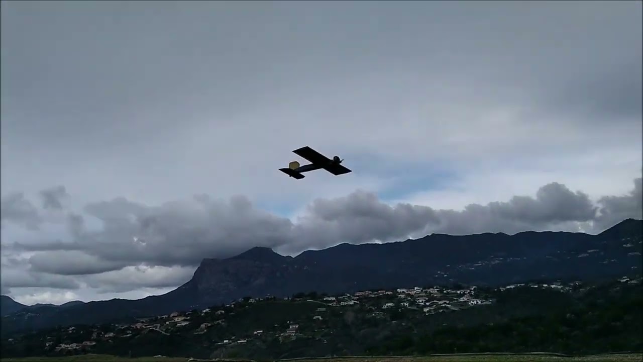 Honda gx35 avion modélisme RC plane