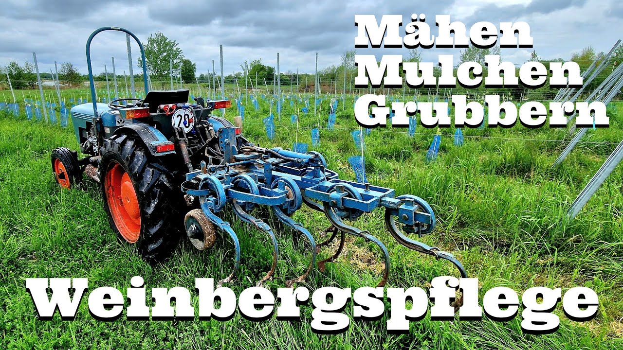 Wann Weinberg mähen, mulchen und grubbern | Power to the Weinbauer