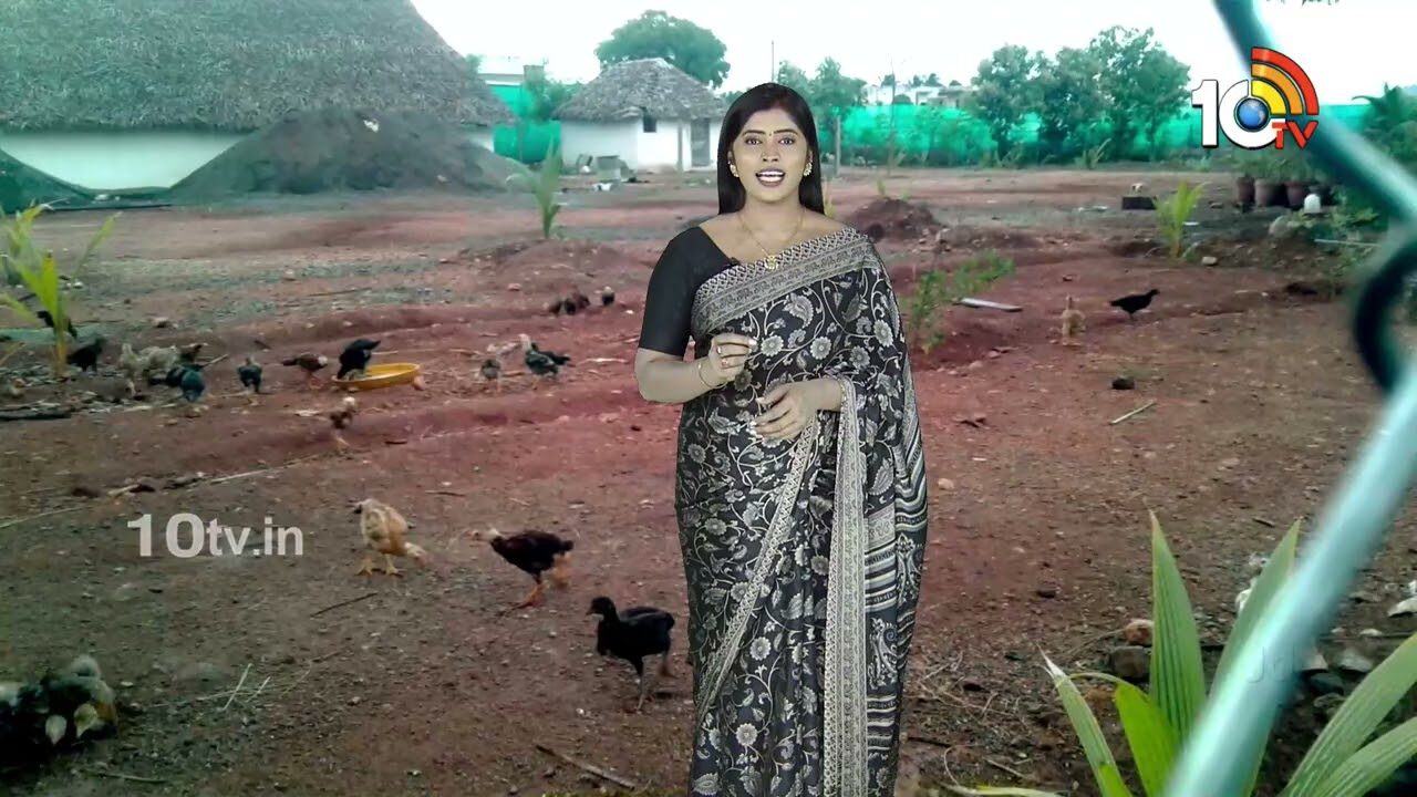 Matti Manishi Full Episode | మట్టి మనిషి | Agriculture Tips | 17-02-2026 | @10TVAgri