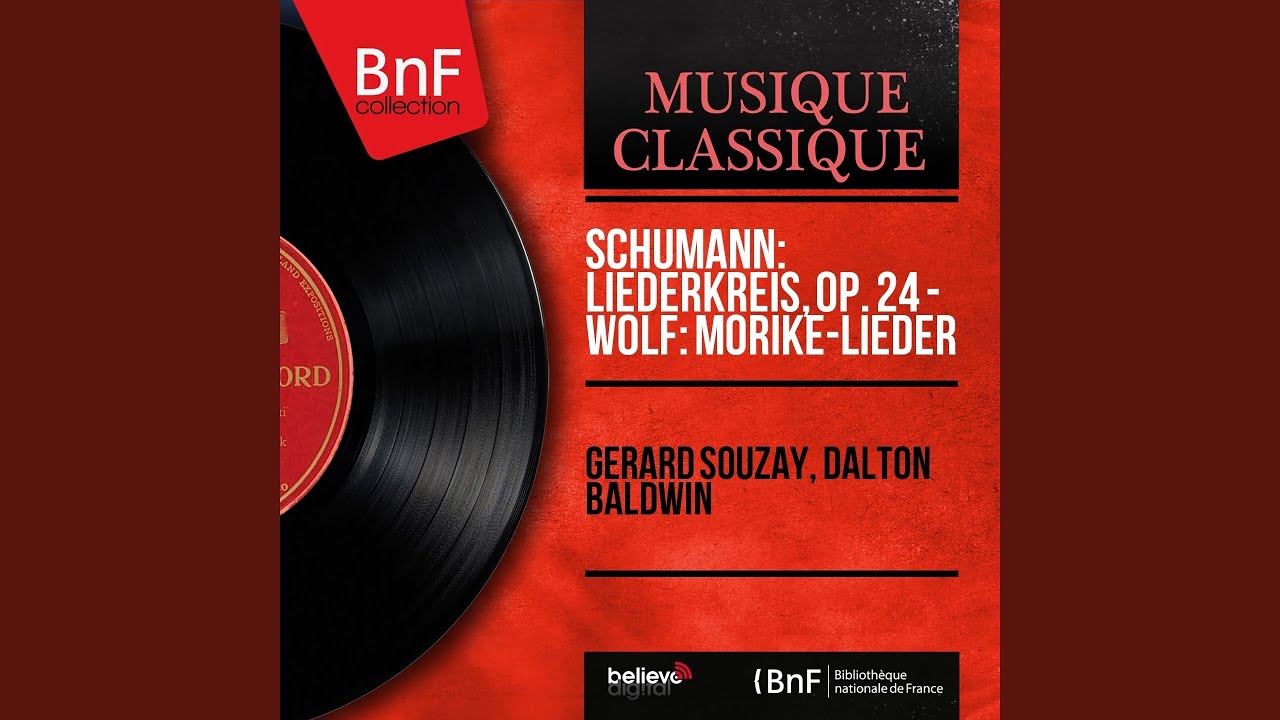Liederkreis, Op. 24: No. 6, Warte, warte, wilder Schiffsman