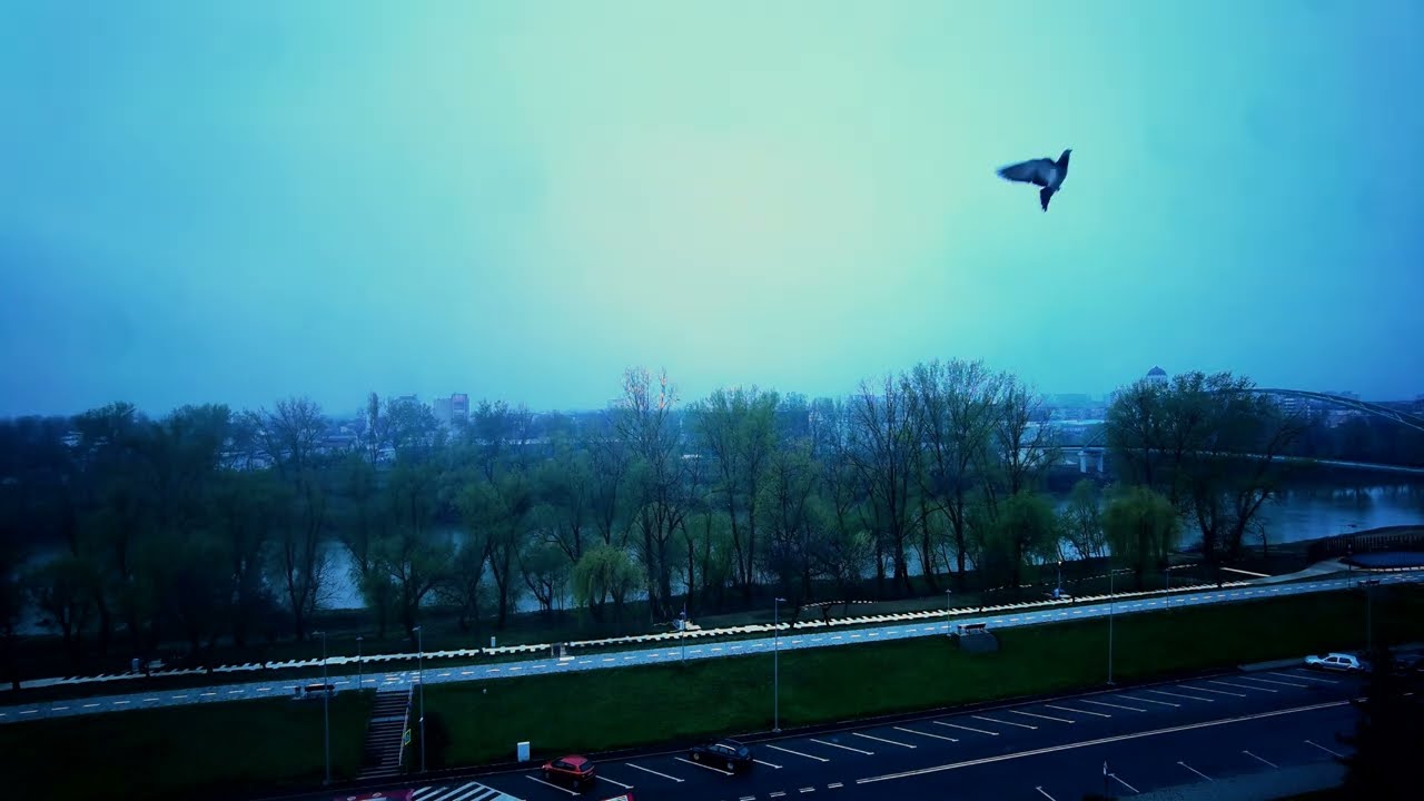 Time-lapse de Primavara [#39]