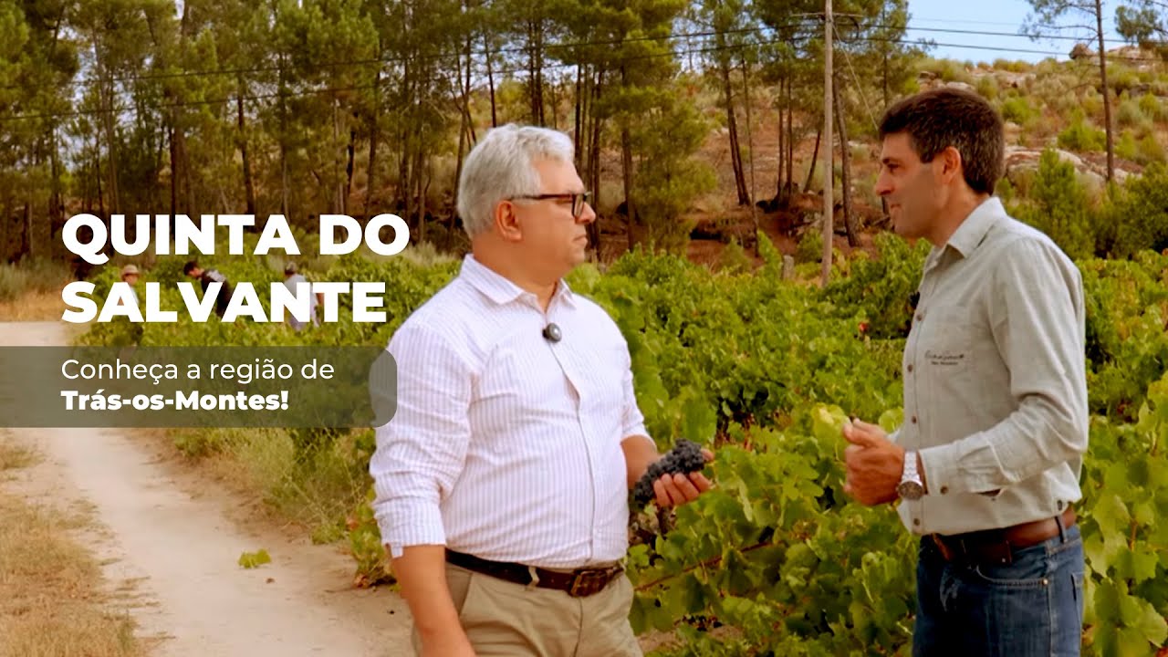 ONDE NASCE O VINHO | A Vinícola Centenária de TRÁS-OS-MONTES: Um Tesouro Escondido em Portugal!