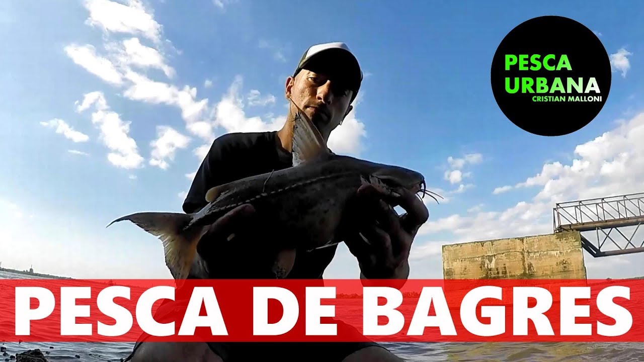 PESCANDO BAGRES, PARTE 1, PESCA URBANA, Street Fishing