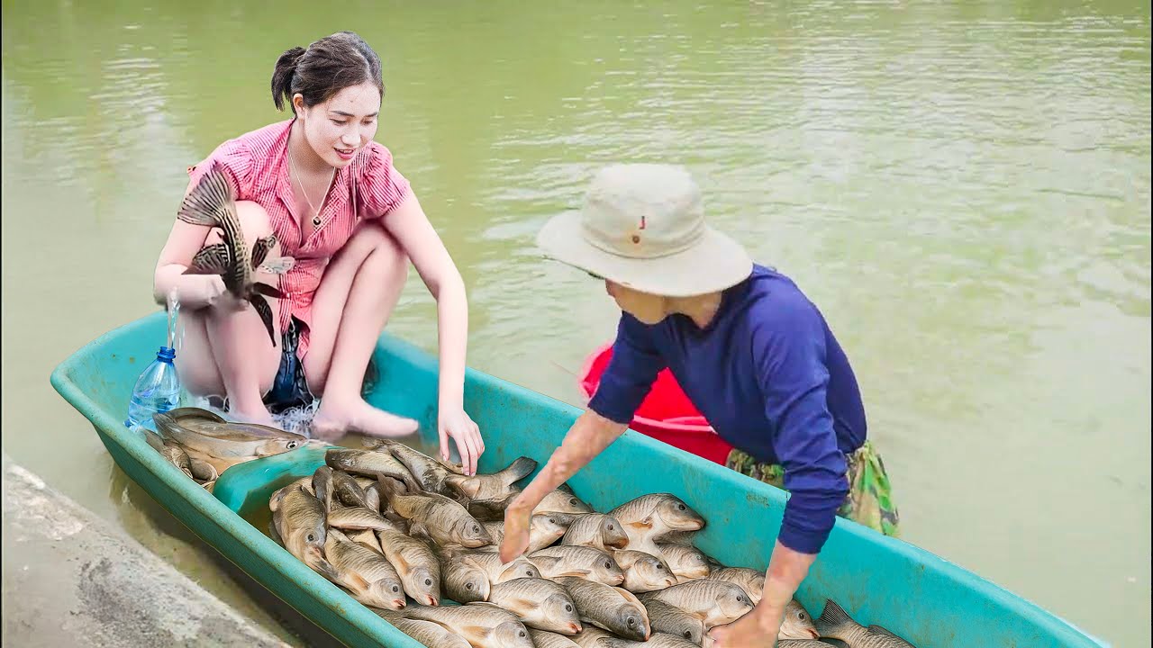 Harvesting Fish with Plastic Boats – You Won't Believe What Happened | Lý Thị Hoa