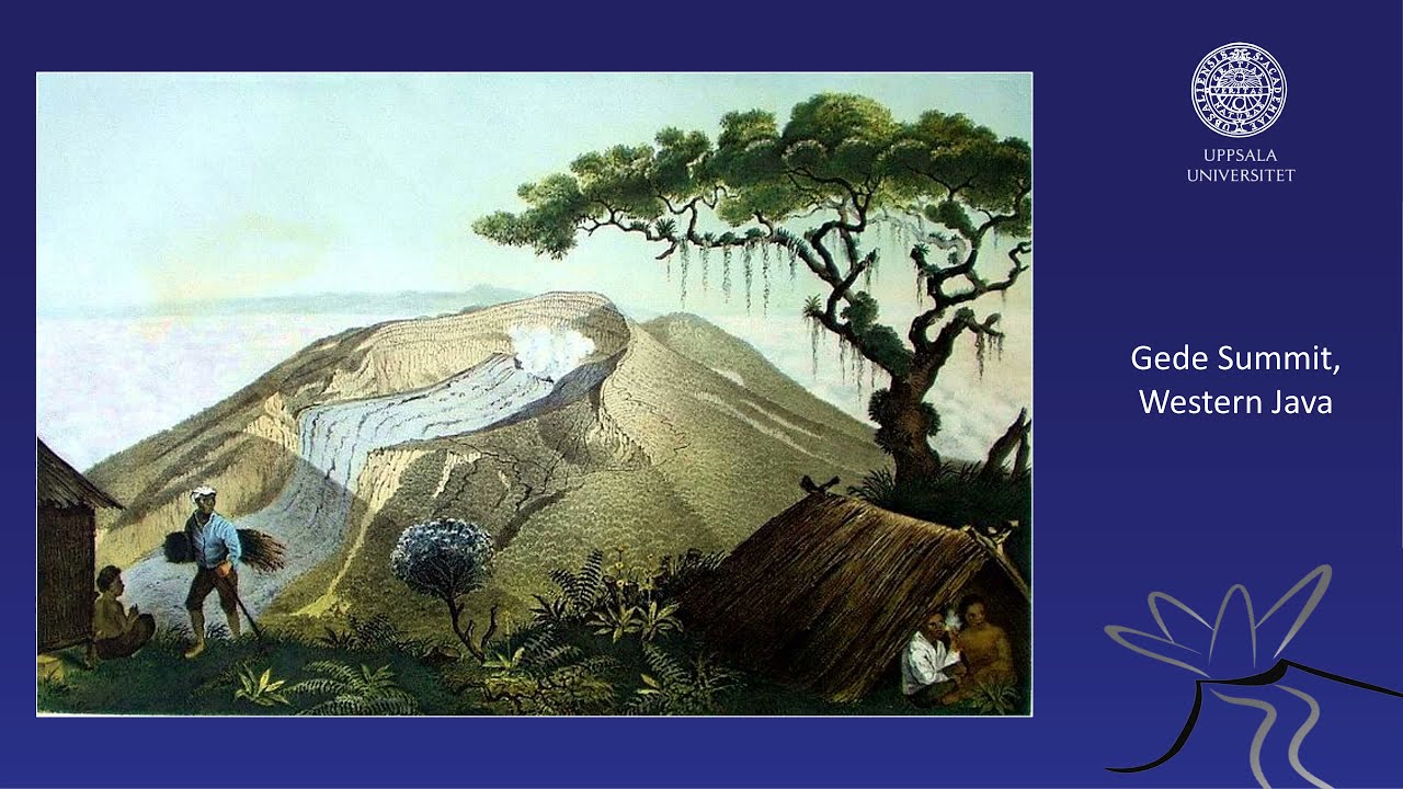 The JAVA Works by F.W. Junghuhn (1809 - 1864) - The Humboldt of Java (1809 - 1864)