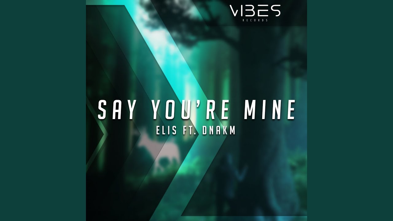 Say You're Mine (feat. DNAKM)
