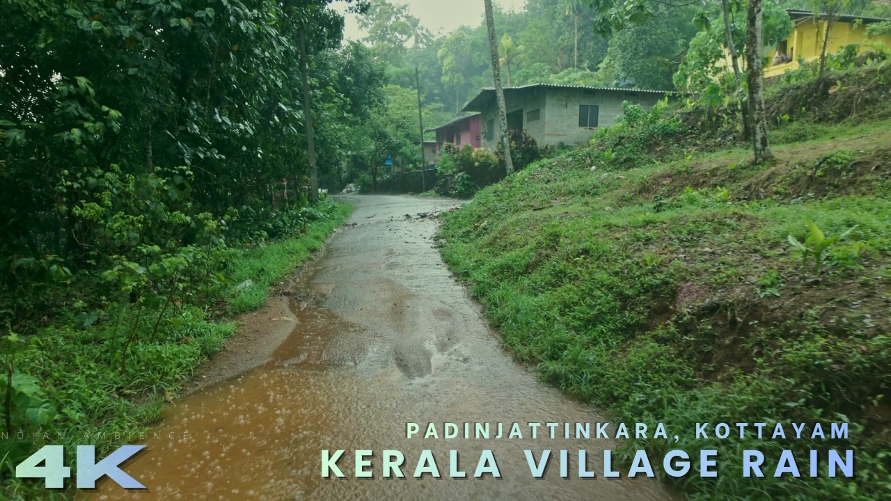 Gentle Summer Rain Walk Through a Lush Kerala Village 🌿 | 4K ASMR for Deep Relaxation