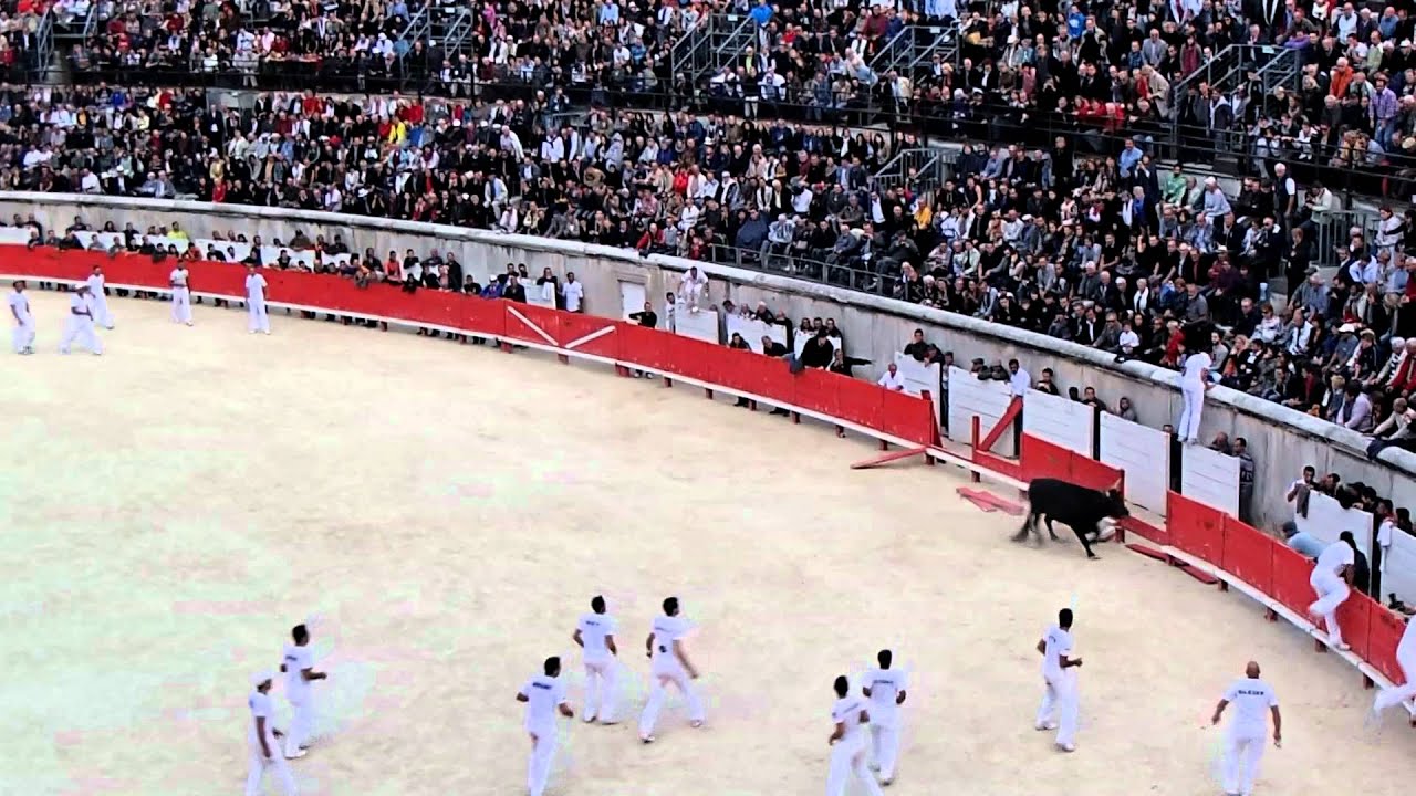Les Arenes in N&icirc;mes - Running of the Taureaux.MOV