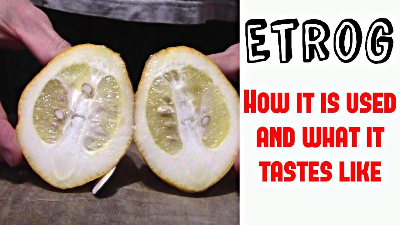 Каков вкус этрога цитрона — Weird Fruit Explorer