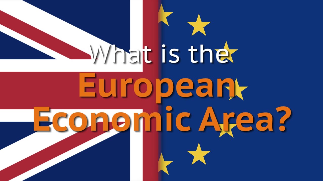 What is the European Economic Area?