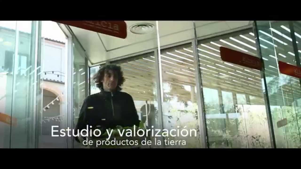 Fundaci&oacute; Al&iacute;cia | Qui&eacute;nes Somos