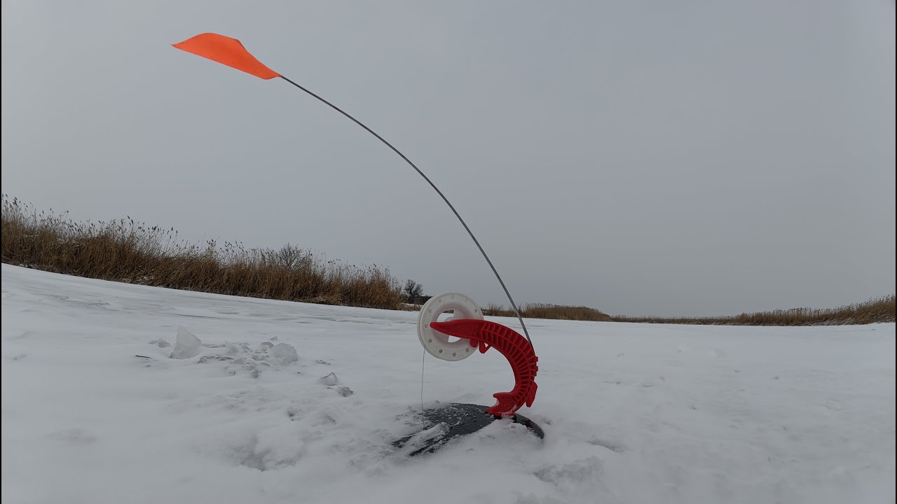 ДВІ ЩУКИ З ЛУНКИ . Ловля щуки на жерлиці . ЩУКА на ЖИВЦЯ . ЩУКА 2026