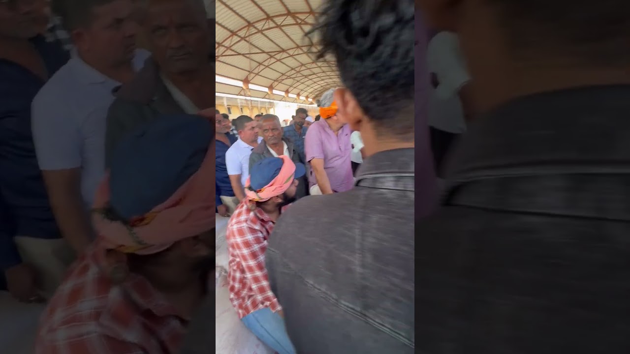 ઘઉં #talaja #rajkot #gondal #market #hindi #wheat #news #viral #agriculture