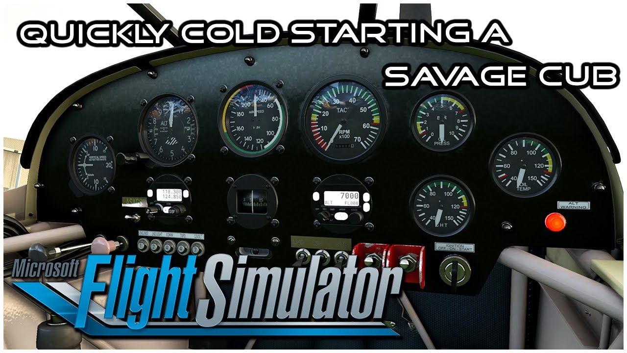 MFS2020 - How to Quickly Start a Savage Cub