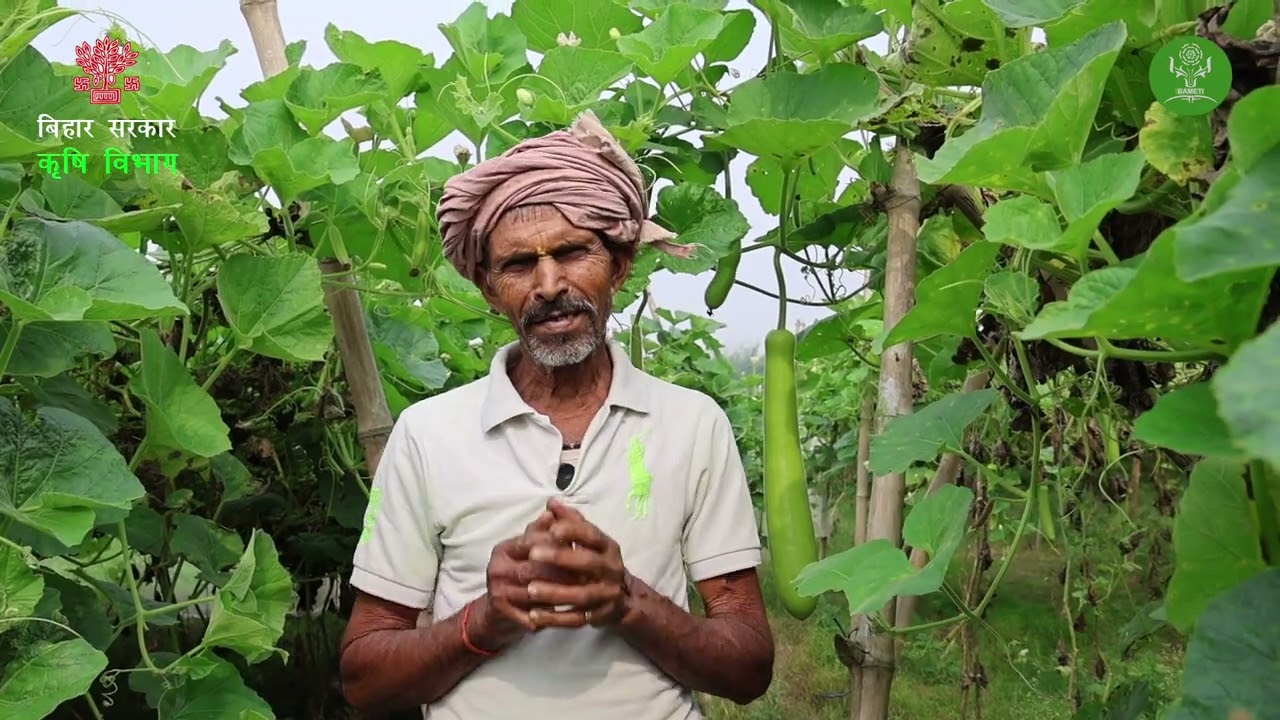 आलन से उगी सब्ज़ी: कम खर्च में ज़्यादा लाभ, सेहत भी बेहतर