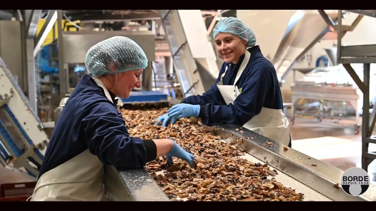 Présentation de l'entreprise Borde