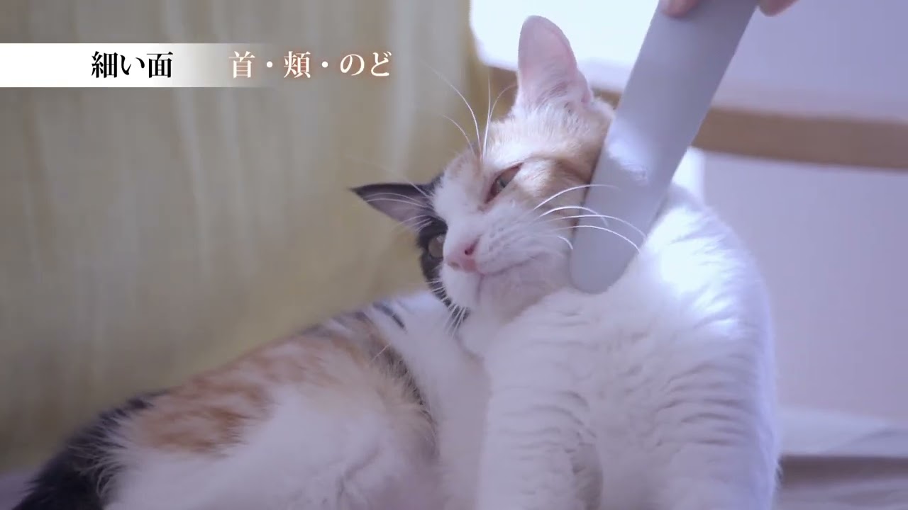 Nekojasuri Part 1