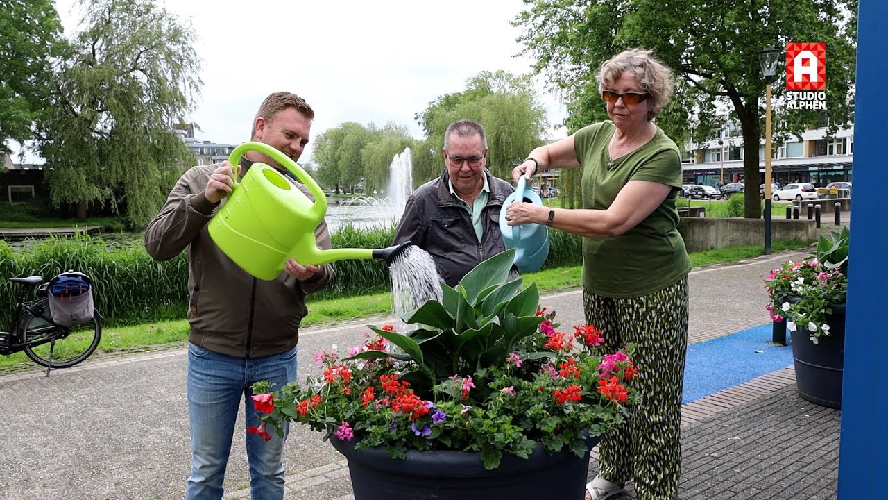 Zomerse kleuren in het dorpshart van Hazerswoude-Rijndijk