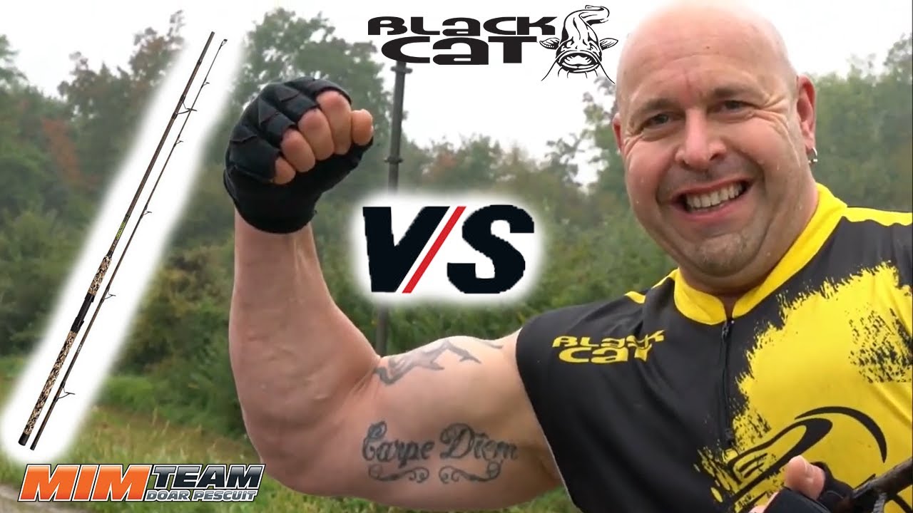 Culturist versus Lanseta Black Cat Wild Catz Spin!