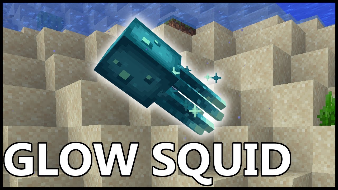 Where To Find GLOW SQUID In MINECRAFT
