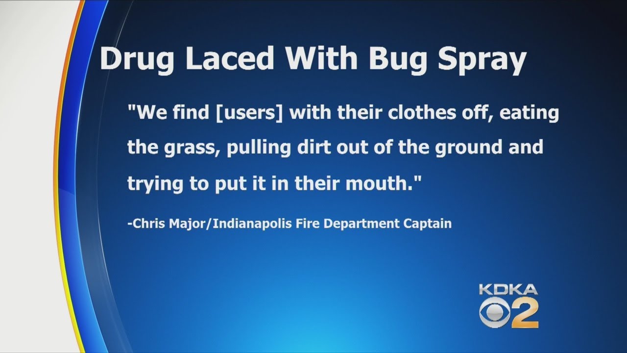 Officials: Drug Laced With Bug Spray Causes ‘Zombie’-Like Reaction