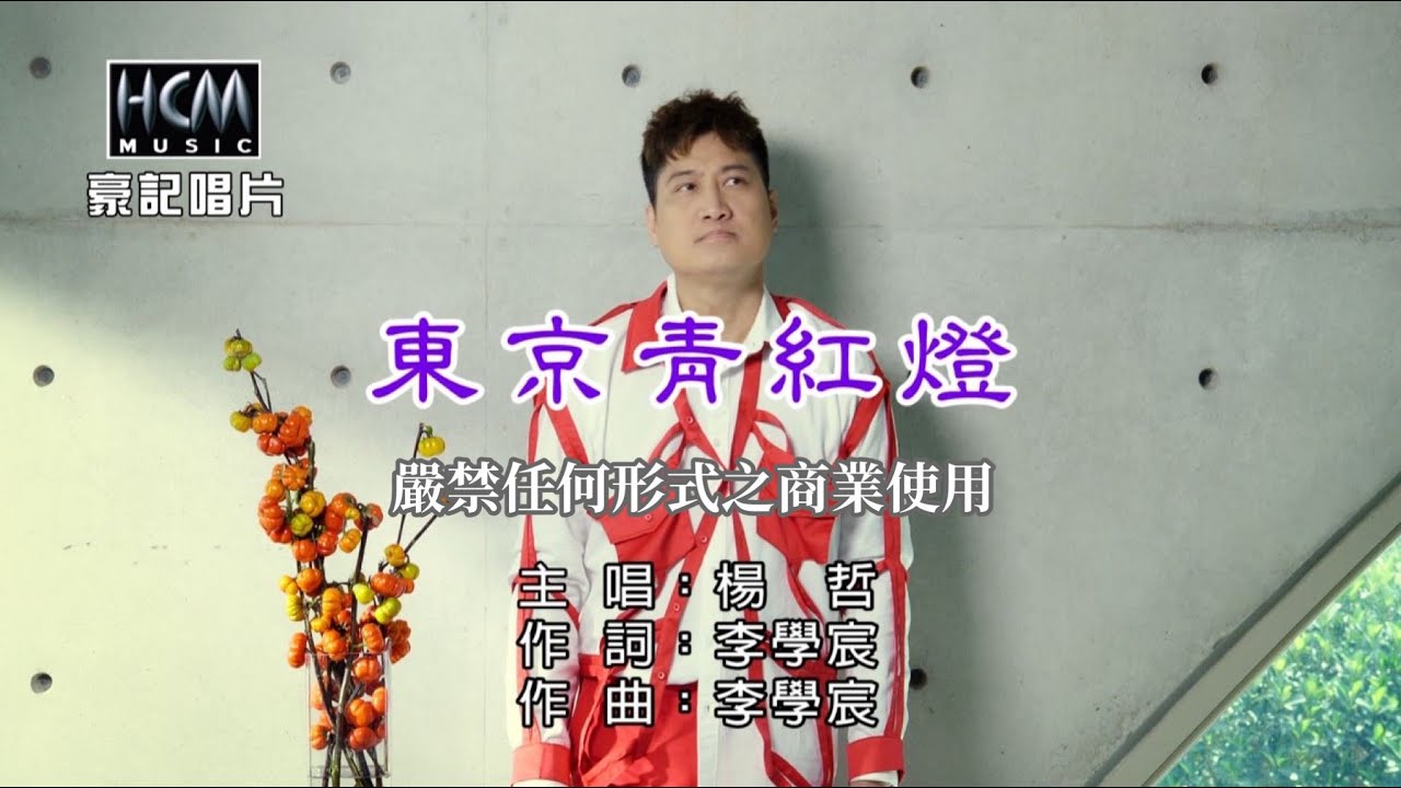 楊哲-東京青紅燈【KTV導唱字幕】1080p HD