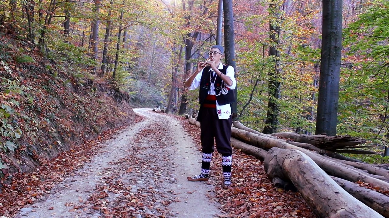 Stani stani Ibar vodo - frula