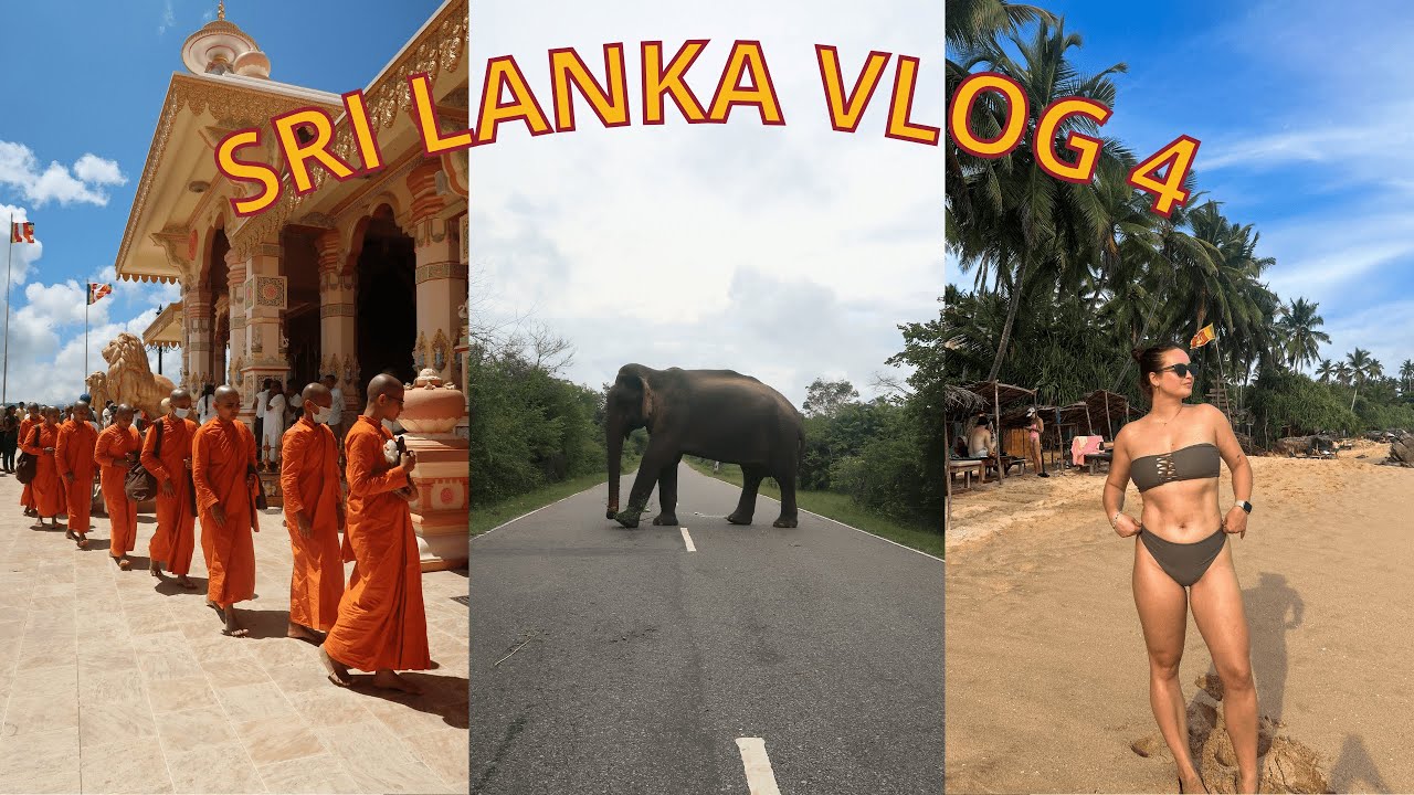 WILDE OLIFANTEN SPOTTEN, EEN KLOOSTER BEZOEKEN EN NAAR EEN THEEPLANTAGE 🐘🫖 | SRI LANKA #4