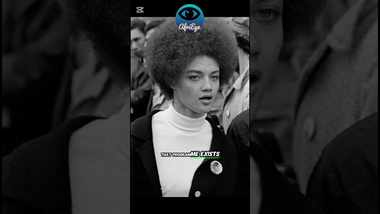 LE PARTI DES PANTH&Egrave;RES NOIRES &mdash; Ils vous ont racont&eacute; la fausse histoire #histoireafricaine #histo...