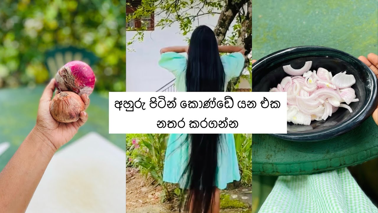 ළූනු ගෙඩියකින් ලස්සන දිග කොණ්ඩයක් වවාගන්න 🧅🥰 #haircare #longhair #longhairgirl 