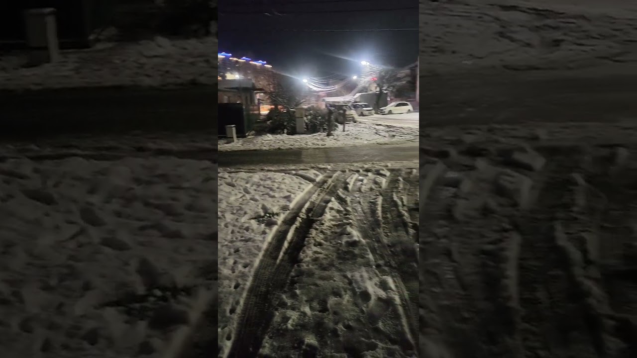 Самое ужасное в новогоднюю ночь - взрывы петард.