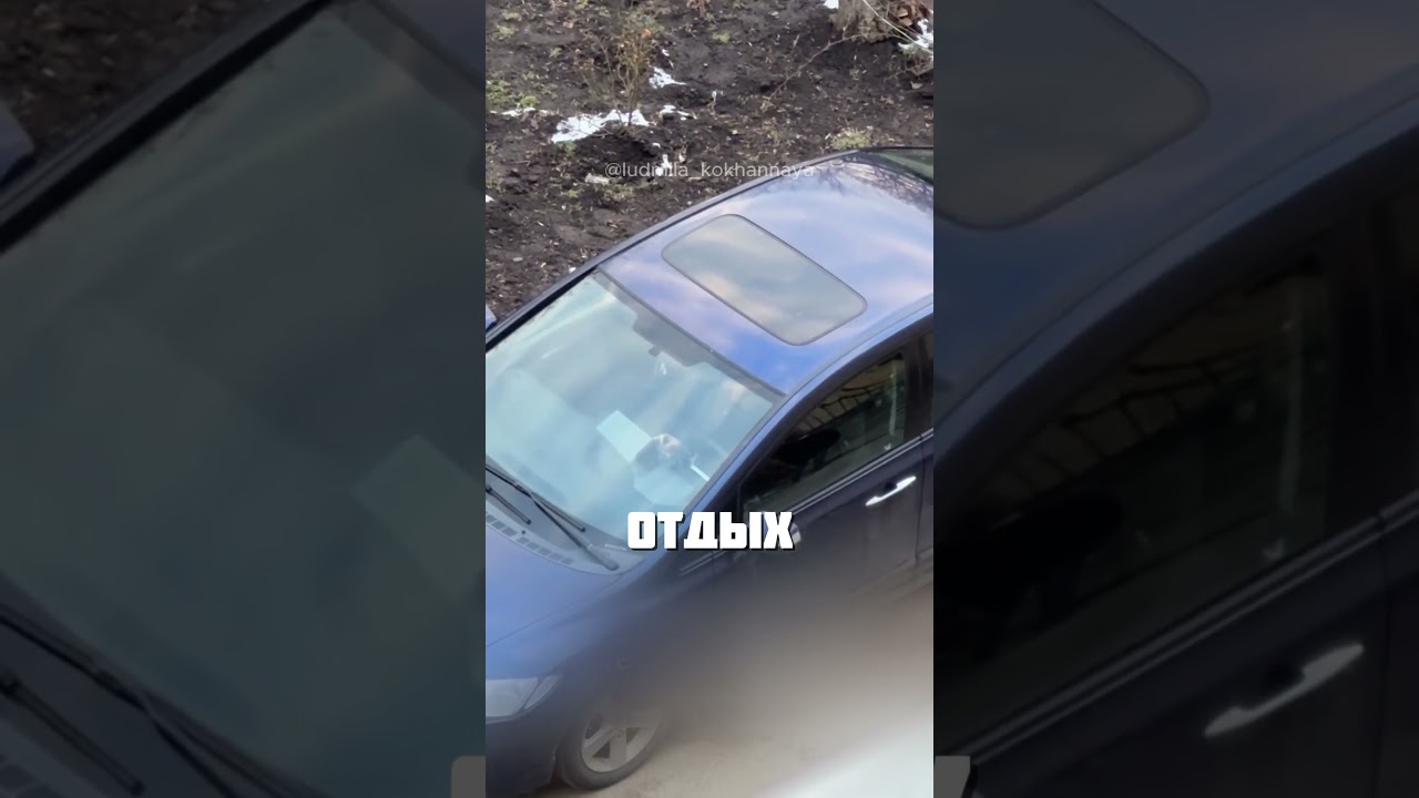 КАЖДЫЙ МУЖЧИНА ДЕЛАЛ ЭТО @ludmila_kokhannaya
