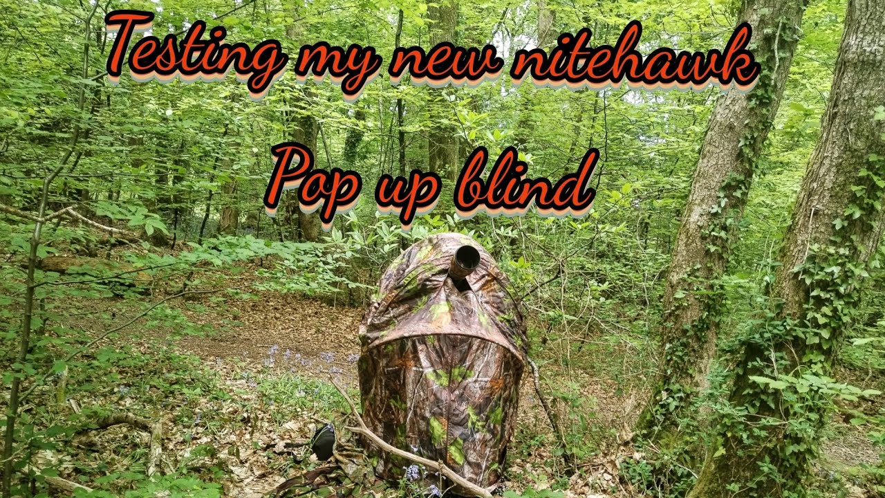 Took my new nitehawk pop up blind to the parakeets nest for a few hours But they were gone 😩