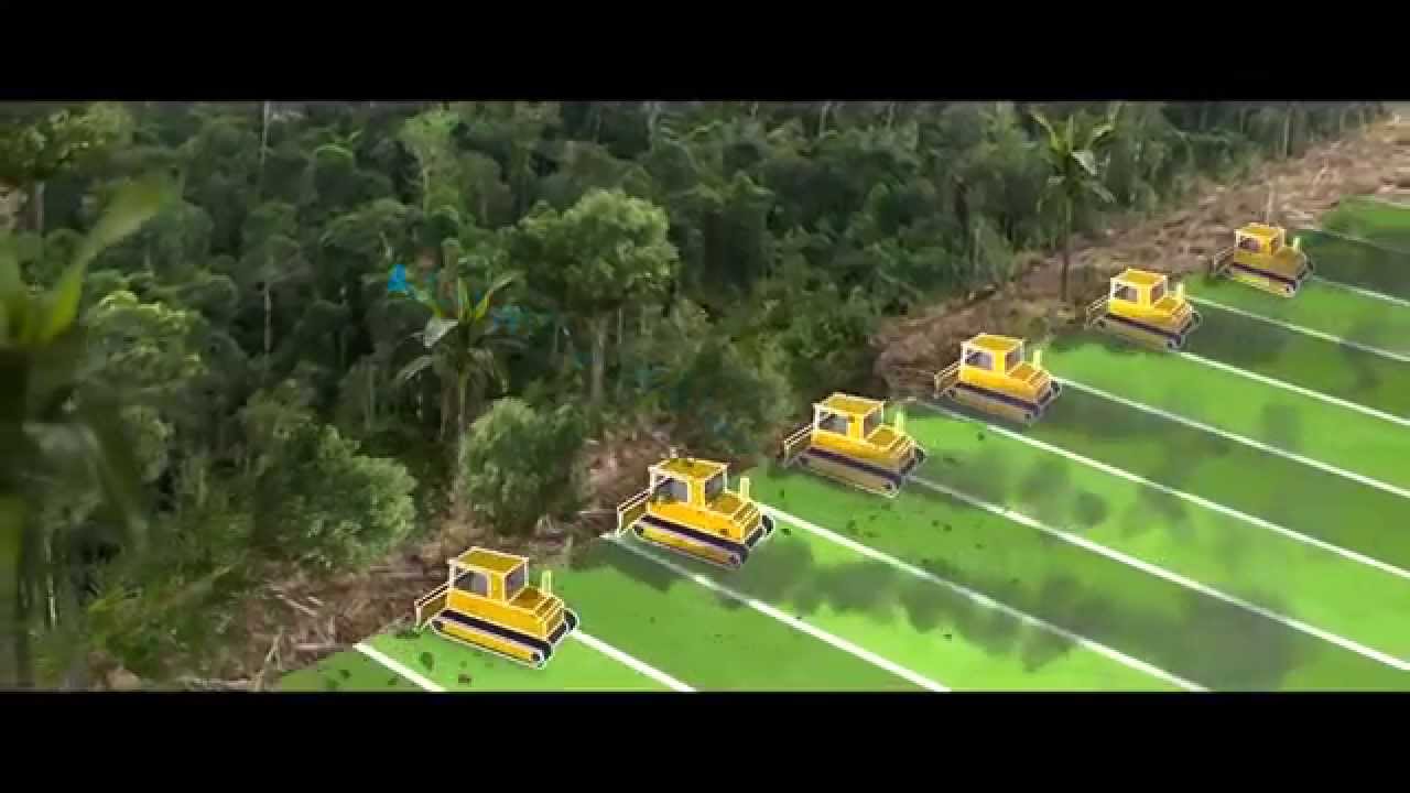 Cowspiracy: Veganism Can Stop Deforestation!