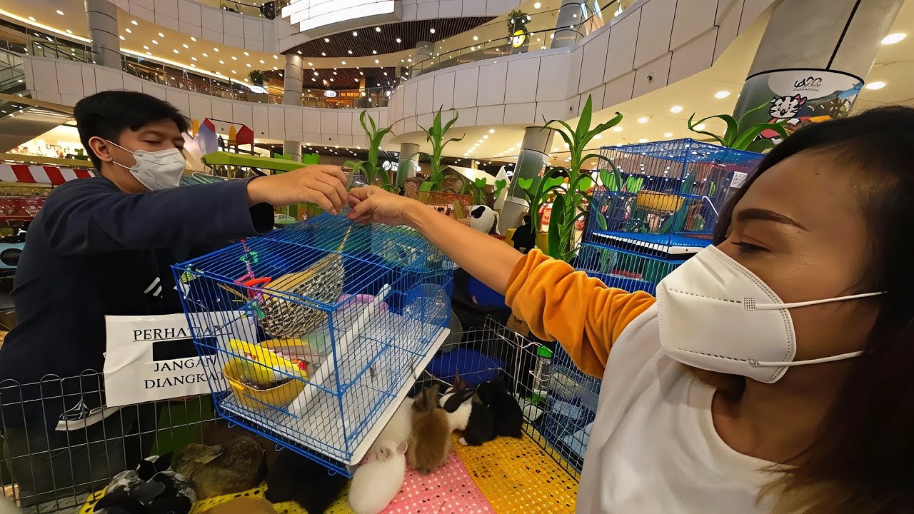 Cool Exotic Pets at Aeon Mall