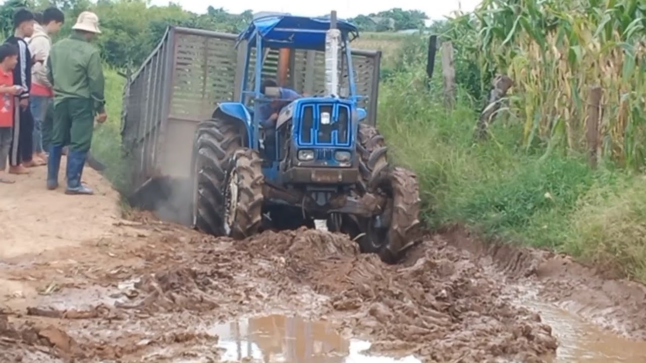 Tractors carrying agricultural products in the rainy season are extremely hard work ll hồ miền nam