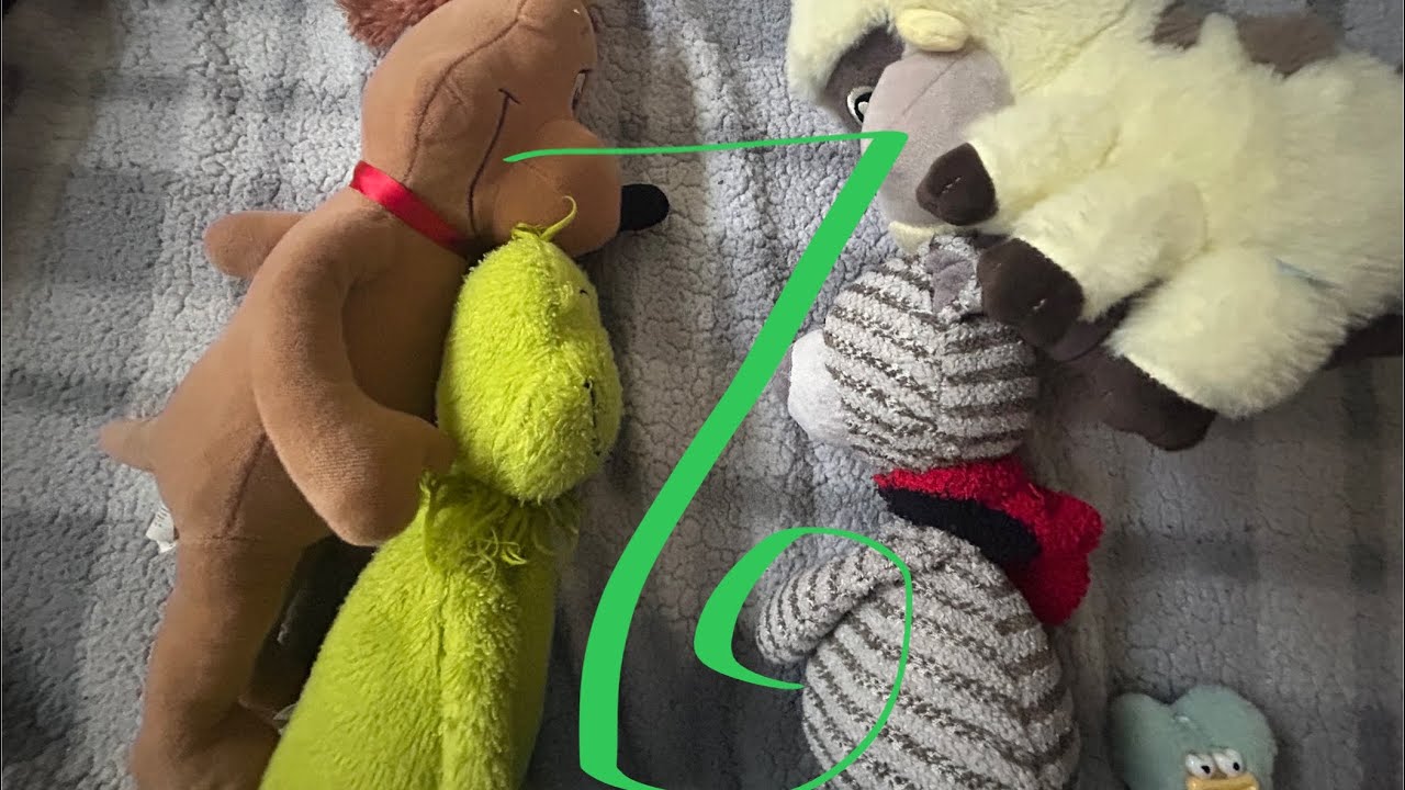 Episode seven of Teddy’s dumb adventures ￼
