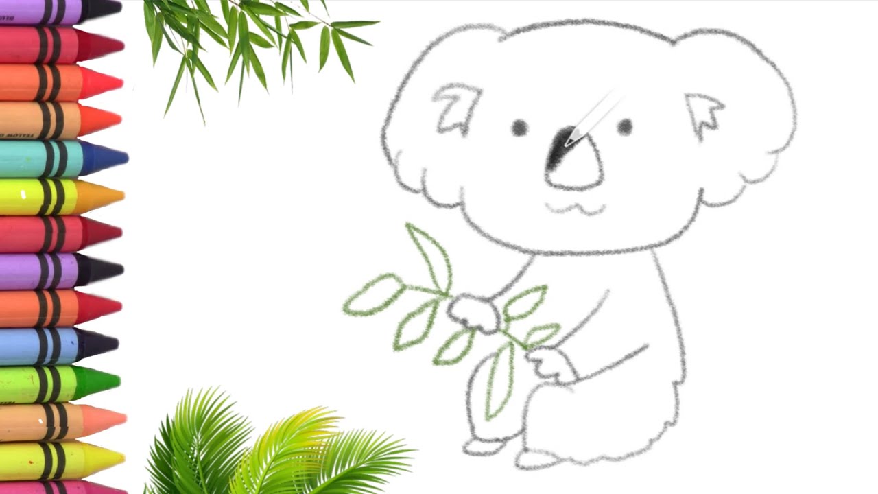 Menggambar, melukis dan mewarnain koala