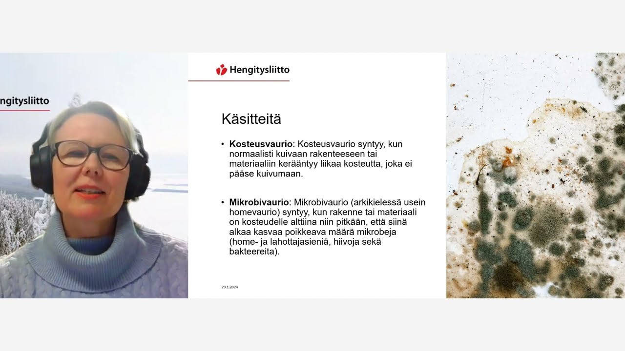 Rakennusten kosteus- ja homevauriot