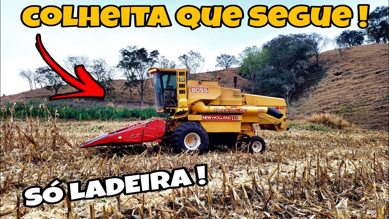 COLHEITA DE MILHO NAS LADEIRA DO PARANÁ !
