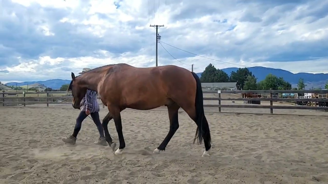 Liberty Training session #2