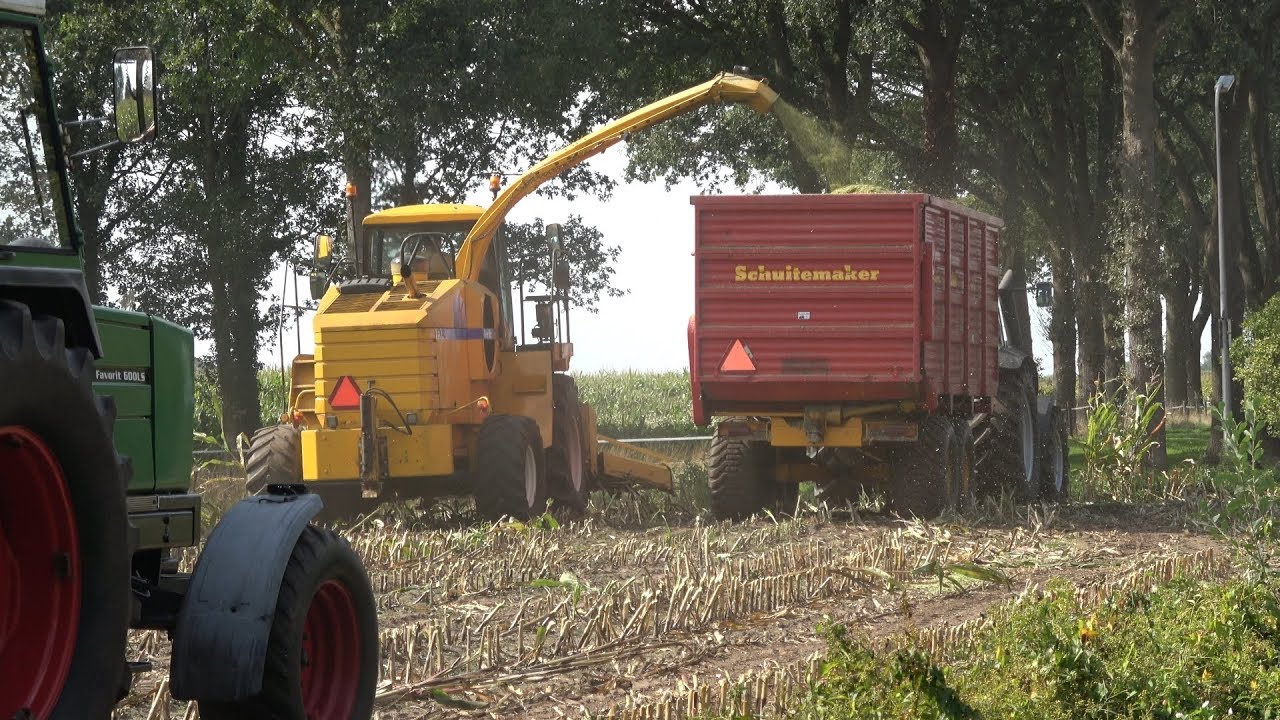 Gottemaker met New Holland FX375 aan het mais hakselen voor Mts Dogger Meinen (2018)