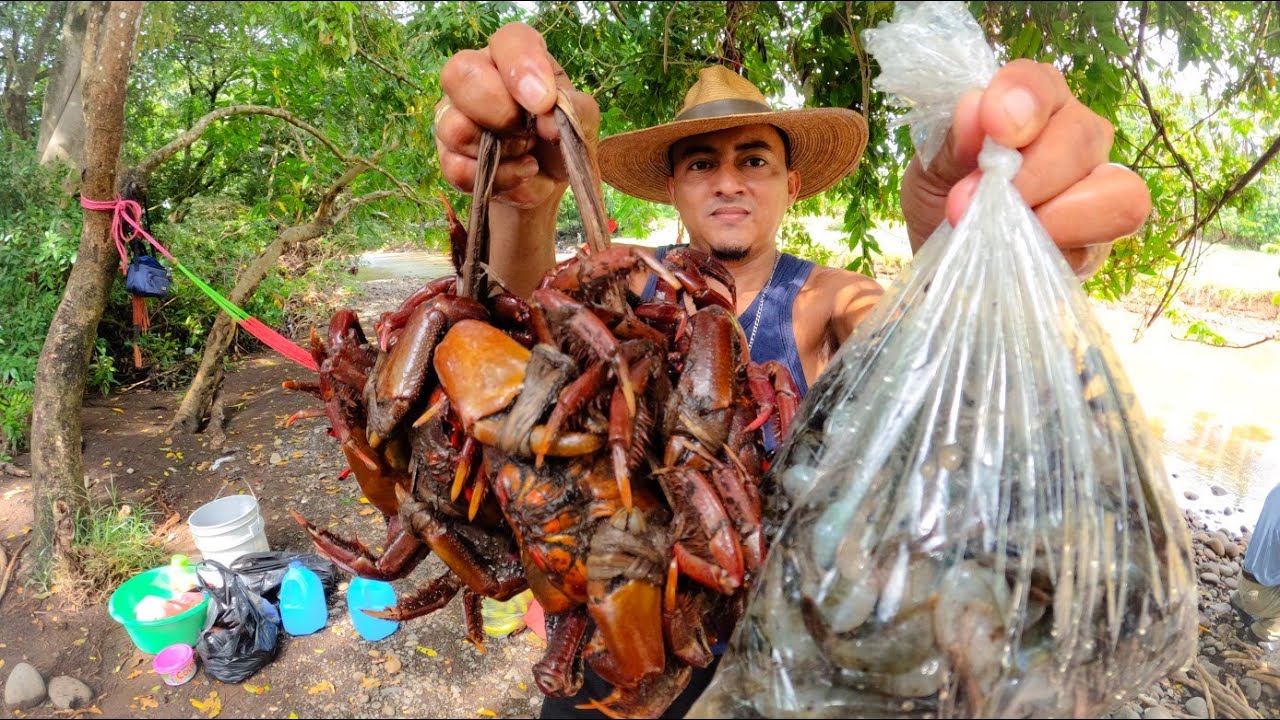 El Mejor Lugar Para Cocinar Unos Ricos Punches Con Camarones